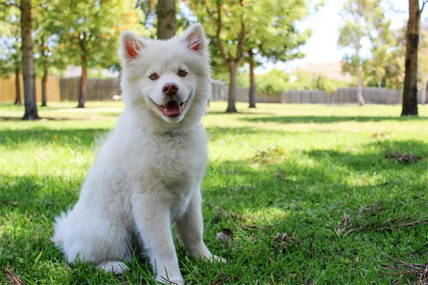 7 Vet Visit Mistakes You're Probably Making (And How to Fix Them)